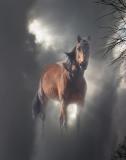 HorseSky.jpg